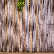 Antalya Bambu Hasır Çit, Bambu Hasır Çit Antalya, Antalya Bambu Hasır Çit Fiyatları, Antalya Bambu Hasır Çit Firmaları