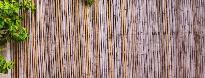 Antalya Bambu Hasır Çit, Bambu Hasır Çit Antalya, Antalya Bambu Hasır Çit Fiyatları, Antalya Bambu Hasır Çit Firmaları
