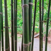 Marmaris Bambu Hasır Çit, Bambu Hasır Çit Marmaris, Marmaris Bambu Hasır Çit Fiyatları, Marmaris Bambu Hasır Çit Firmaları